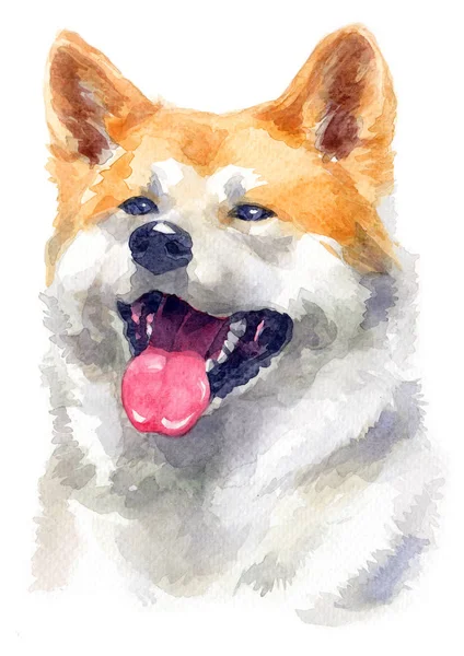 Akvarellmålning Akita 118 — Stockfoto
