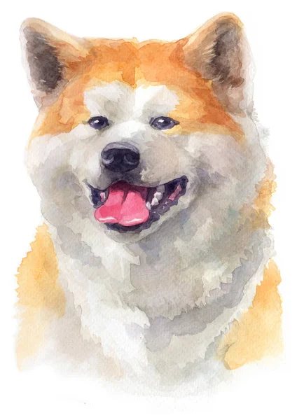 Akvarellmålning Akita 117 — Stockfoto