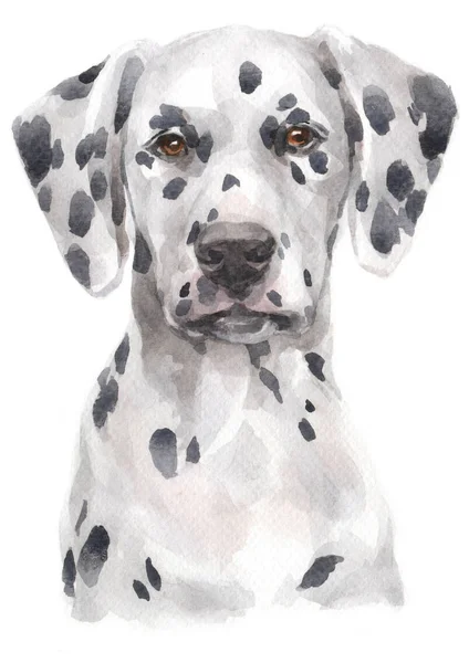 Aquarelle Dalmatie 148 — Photo