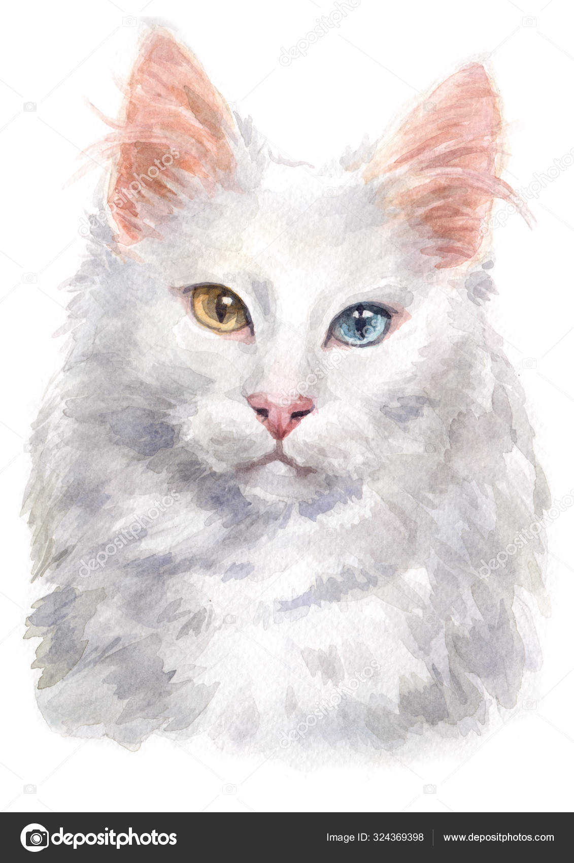 Chat Angora Images Libres De Droit Photos De Chat Angora Depositphotos Chat Angora Images Libres De Droit Photos De Chat Angora Depositphotos