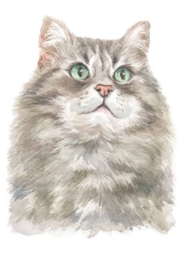 Sibirya orman kedisi 003 'ün sulu boya resmi