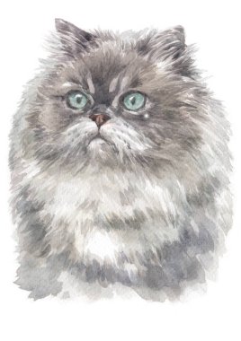 Himalaya kedisinin sulu boya tablosu 012