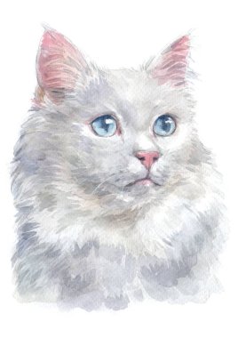 Türk Van Cat 026 'nın sulu boya tablosu