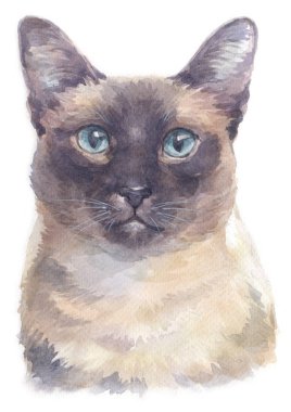 Siyam kısaltmasının sulu boya resmi Cat 038