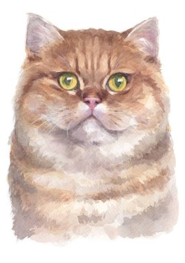 İngiliz kısaltmasının sulu boya tablosu Cat 040