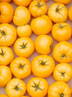 sarı domatesler, arka plan, organik tarım