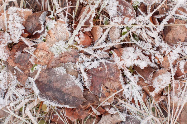 Kall morgon utomhus på vintern med frusna isbitar av snö på — Stockfoto