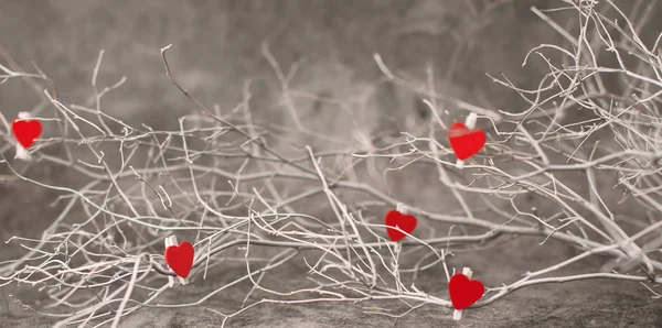 Vakantie achtergrond voor Valentijnsdag op een grijze cement backgrou — Stockfoto