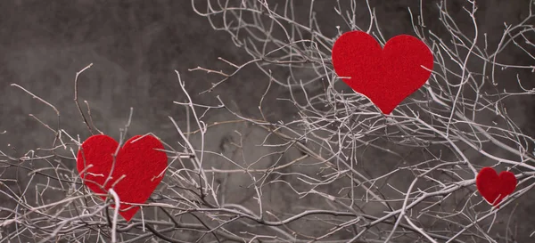 Holiday background for Valentine's Day on a gray cement backgrou — 스톡 사진