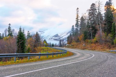   karlı zirveleri giden yol