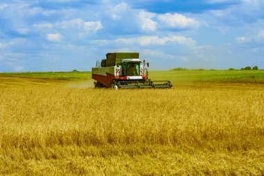 Temizlik, çavdar biçme, tarımsal makinelerle buğday biçme, hasat makinesini birleştirme.