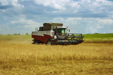 Tarım makineleri tarla boyunca ilerler olgunlaşmış tahıl ekinleri ve çavdar arpası ile.