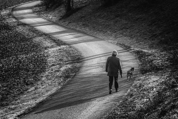 Morning walk with the dog - artistic black and white photo
