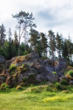 Wental (Wen Vadisi), Swabian Alb, Baden Wurttemberg, Almanya Felsenmeer