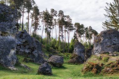 Wental (Wen Vadisi), Swabian Alb, Baden Wurttemberg, Almanya Felsenmeer