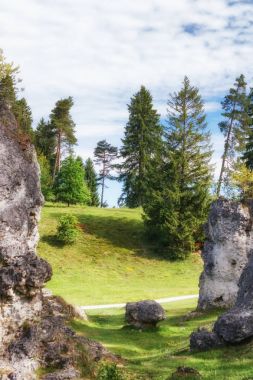 Wental (Wen Vadisi), Swabian Alb, Baden Wurttemberg, Almanya Felsenmeer
