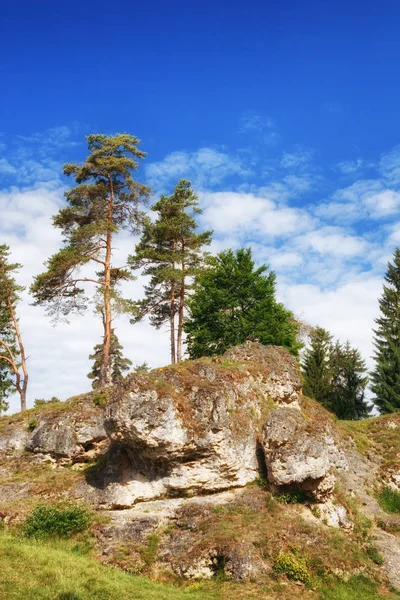 Wental (Wen Valley), Felsenmeer in the Swabian Alb, Baden-Wurttemberg, Alemania —  Fotos de Stock