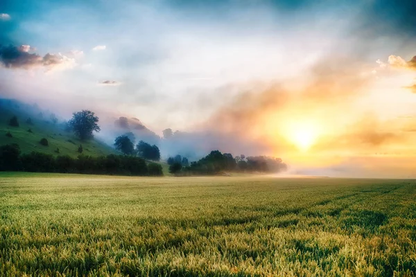 Colorido, surrealista amanecer en el nublado, niebla prado — Foto de Stock