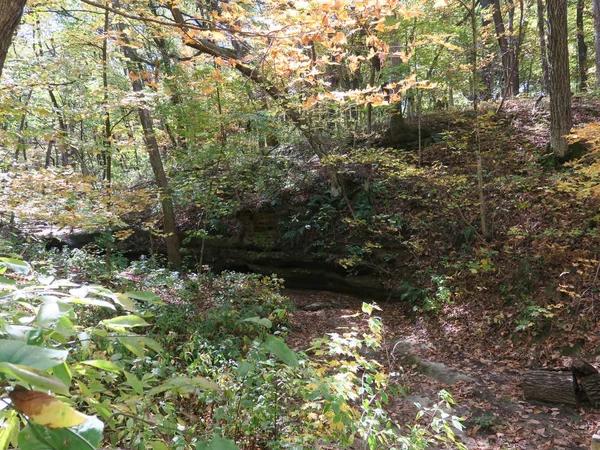 Parque Estatal de Rock Hambriento en otoño con árboles que comienzan a cambiar — Foto de Stock