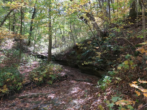 Ausgehungerte Rock State Park im Herbst mit Bäumen beginnen, sich zu ändern — Stockfoto