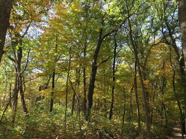 Parque Estatal de Rock Hambriento en otoño con árboles que comienzan a cambiar — Foto de Stock