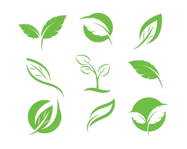 Logos de hoja verde ecología naturaleza elemento vector — Vector de stock
