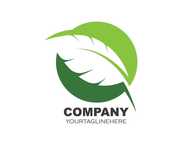 Logos di verde foglia ecologia elemento natura vettore — Vettoriale Stock