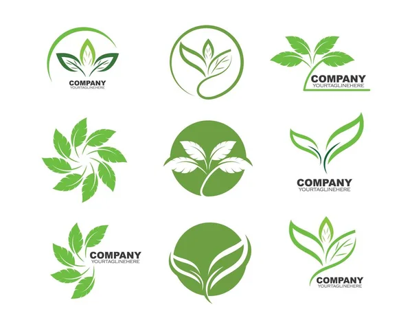 Logos di verde foglia ecologia elemento natura vettore — Vettoriale Stock