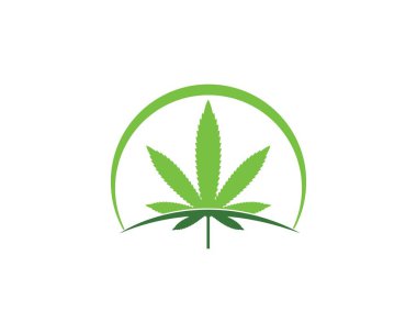 kenevir yaprağı vektör illüstrasyon tasarımı