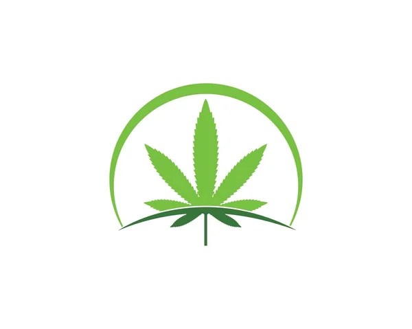 Illustration vectorielle feuille de cannabis icône design — Image vectorielle