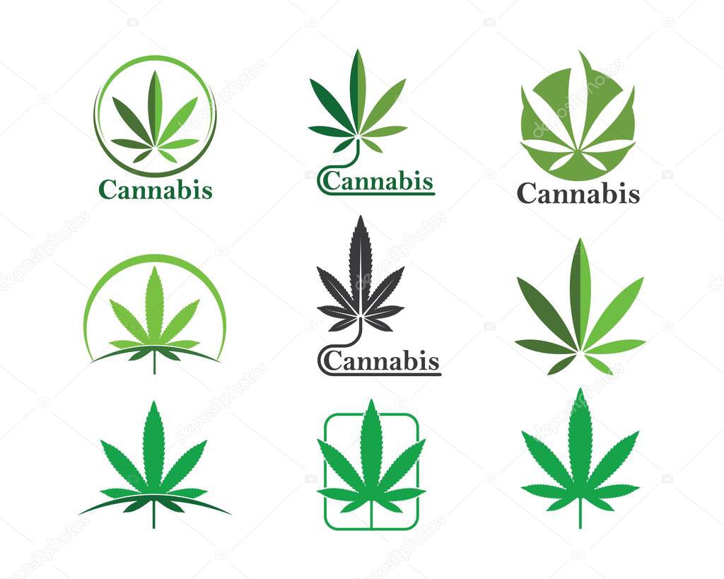 cannabis leaf vector icon illustration design