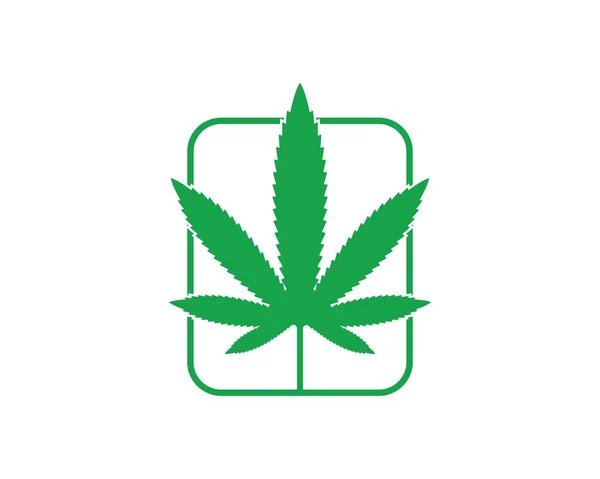 Cannabis hoja vector icono ilustración diseño — Vector de stock