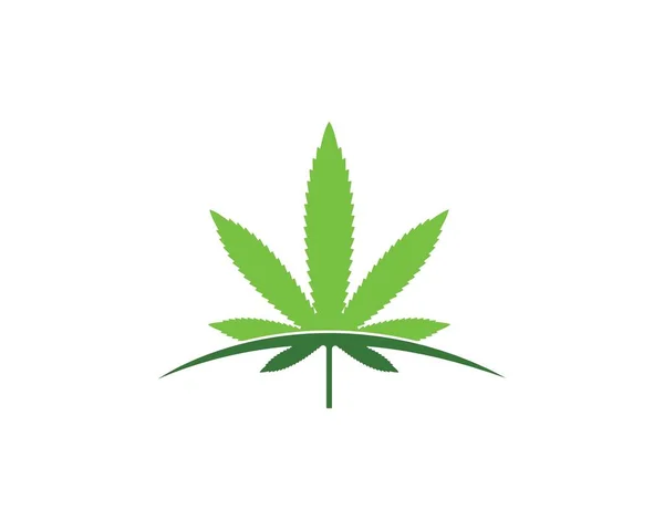 Illustration vectorielle feuille de cannabis icône design — Image vectorielle