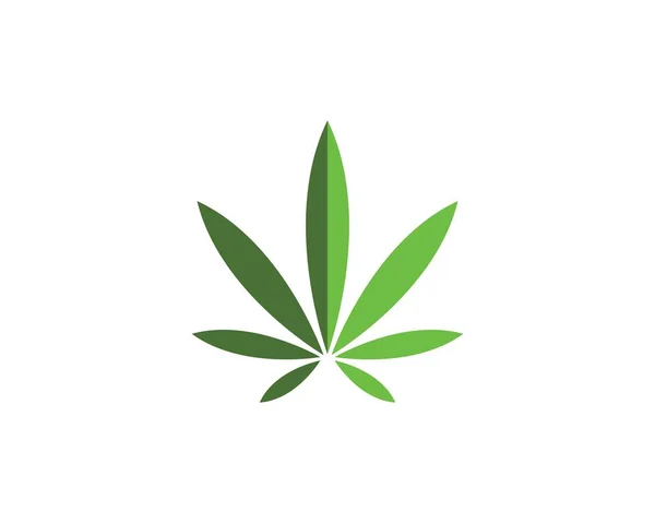 Cannabis leaf vector icon illustration design — Stock vektor