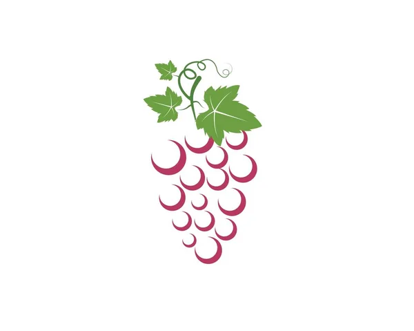 Frutas de uva con ilustración vector icono de la hoja — Archivo Imágenes Vectoriales