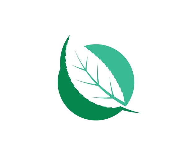 Ekologia element ikona liść natura zielony wektor zielony — Wektor stockowy