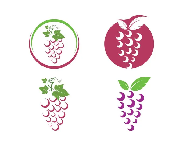 Frutas de uva con ilustración vector icono de la hoja — Archivo Imágenes Vectoriales
