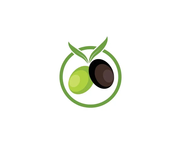 Logo de oliva icono vector ilustración — Vector de stock