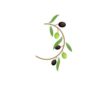 zeytin logo simgesi vektör illüstrasyon