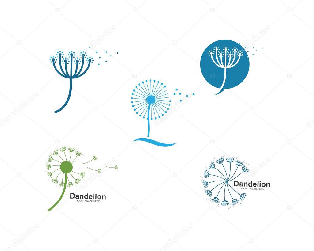 dandelion flower logo icon vector 