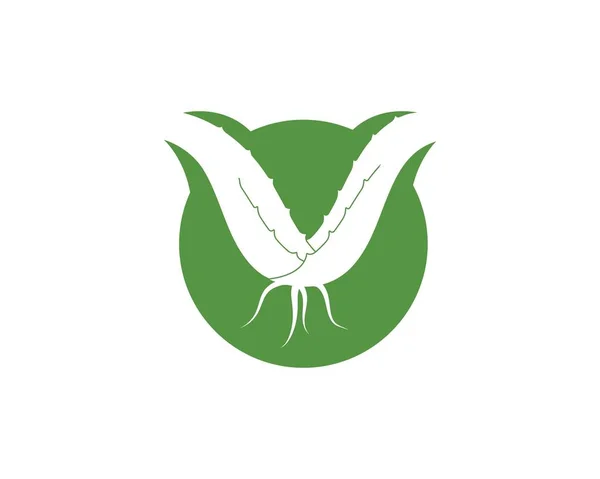 Aloevera 徽标图标矢量插图设计 — 图库矢量图片