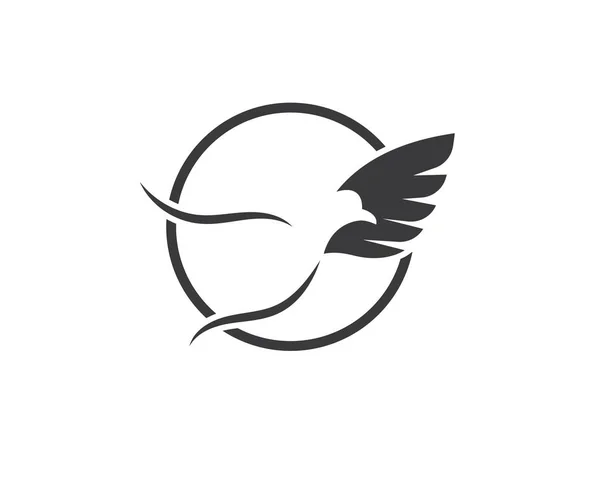 Falcão águia pássaro logotipo modelo vetor —  Vetores de Stock