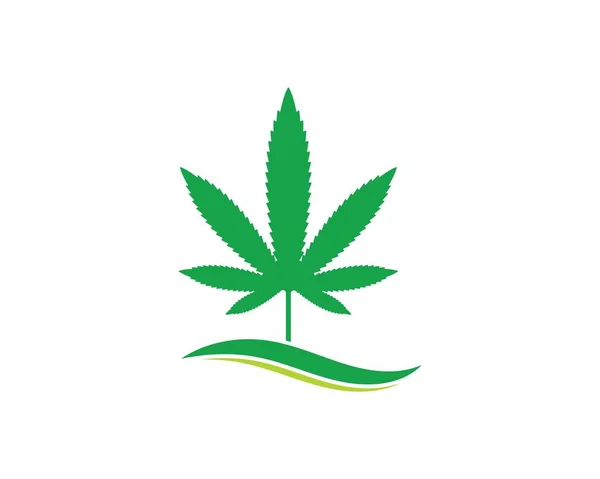 Cannabis hoja vector icono ilustración diseño — Vector de stock