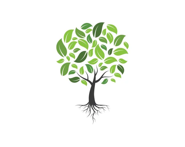 Árbol genealógico logotipo plantilla vector ilustración — Vector de stock