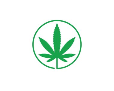 kenevir yaprağı vektör illüstrasyon tasarımı