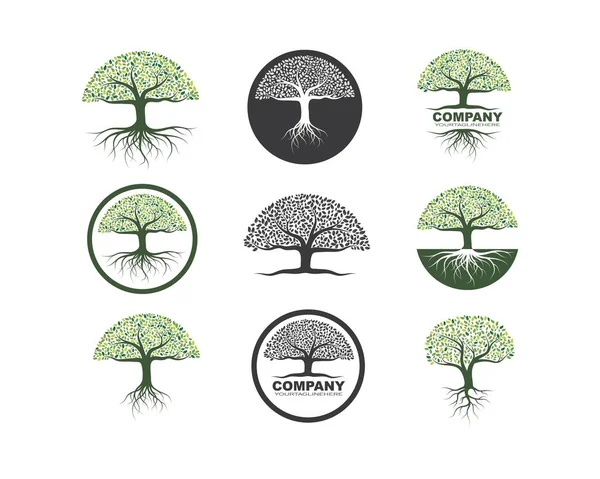 Δέντρο εικόνα λογότυπο πρότυπο διάνυσμα — Διανυσματικό Αρχείο