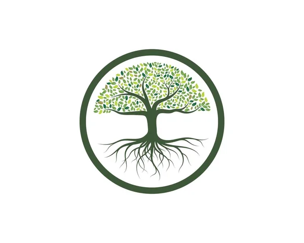 Árbol icono logo plantilla vector — Archivo Imágenes Vectoriales