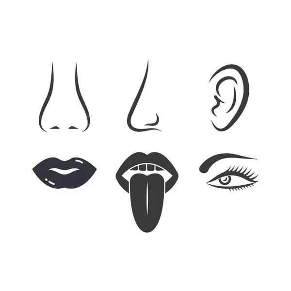 Nose ear eye lips tongue vector icon of human senses illustratio — Stock Vector