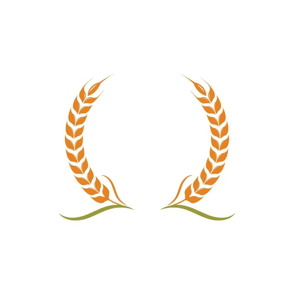Agricoltura grano vettore icona illustrazione design — Vettoriale Stock