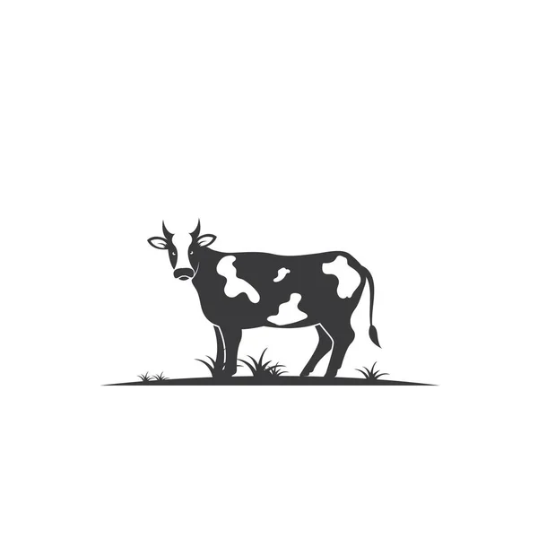 Vaca logotipo vector ilustración templat — Vector de stock